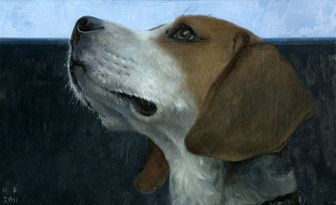 Beagle